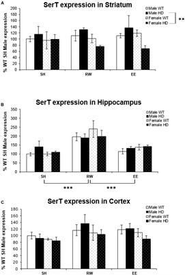 Short-Term Environmental Stimulation Spatiotemporally Modulates Specific Serotonin Receptor Gene Expression and Behavioral Pharmacology in a Sexually Dimorphic Manner in Huntington’s Disease Transgenic Mice